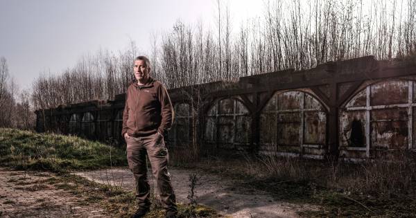 Rondom steenfabriek Koppenwaard is de natuur nu de baas - De Gelderlander