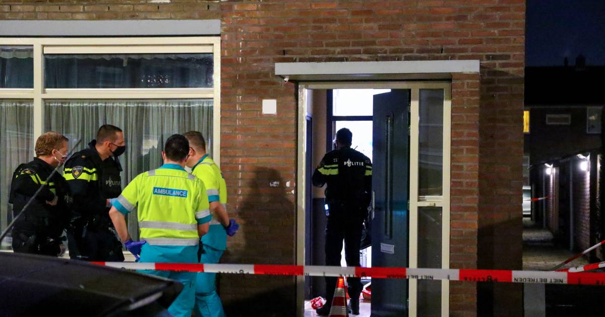 De politie heeft zaterdagavond twee verdachten aangehouden in De Meern.
