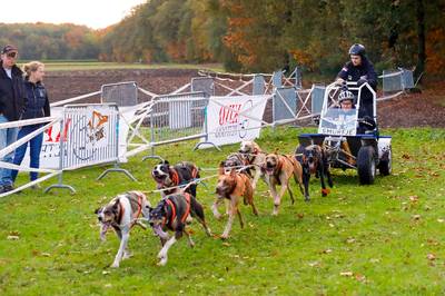 Kempentrail: ondanks een dwarslaesie crossen door de Kempen