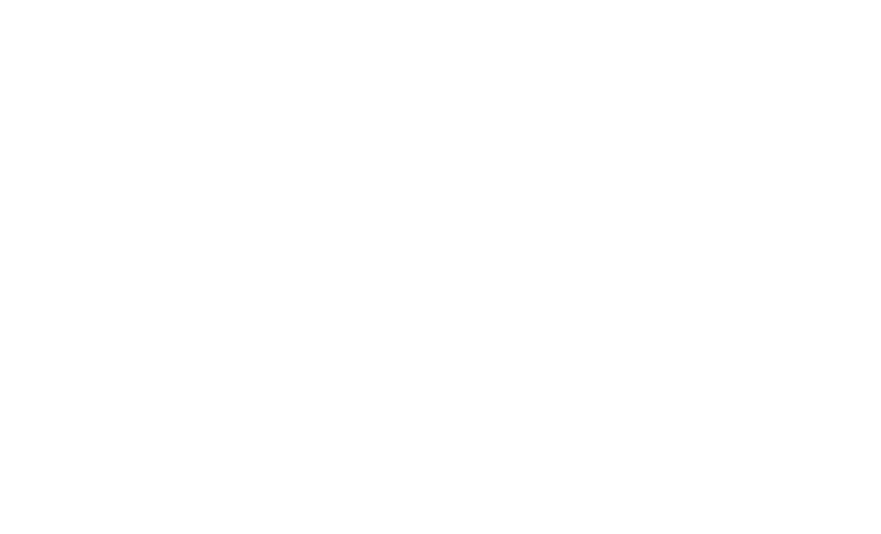 The Voyeurs