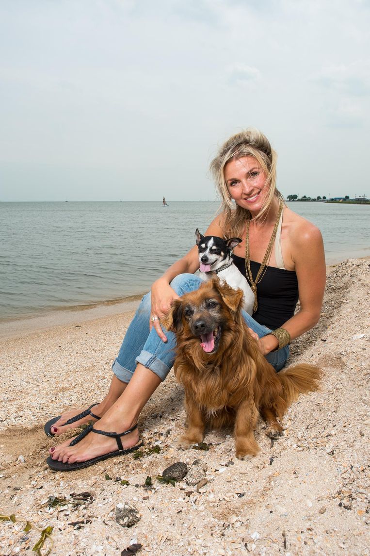 De Vuilnisbakhond Onweerstaanbaar Maar Niet Zonder Risico Het Parool