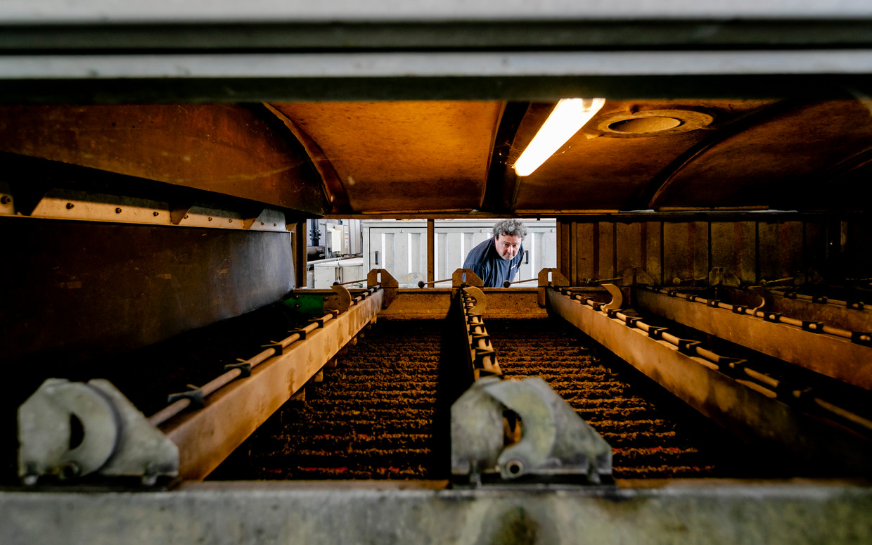 Een medewerker van waterschap Amstel, Gooi en Vecht bekijkt de slibverwerking. Beeld ANP