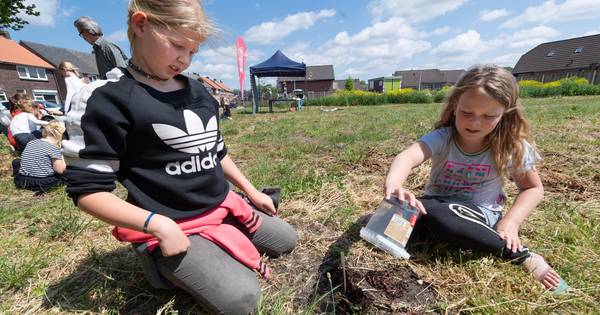 Regenwormen voor prachtig nieuw park 't Gijmink in Goor