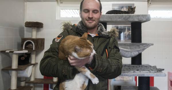 Dierenasiel in Den Ham te koop: 'Gaan nog wel paar traantjes wegpinken' - Tubantia