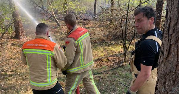 Brandweer legt met man en macht ‘stoplijn’ aan voor camping bij bosbrand Hooge Mierde: brand meester