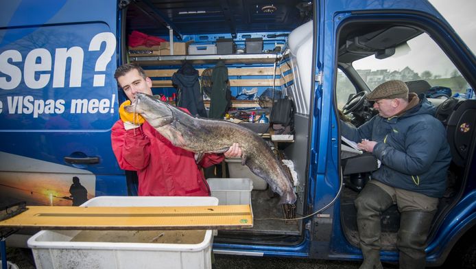 Hij Bestaat Het Monster Van Het Lammetjeswiel Dordrecht Ad Nl