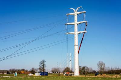 Bewonersgroep 380 kV vreest ‘lint van landschappelijke schande’