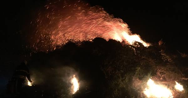 Kerstboomverbranding in Riel als traditie: ‘Na Scheveningen even bang dat het niet door mocht gaan’