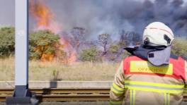 Alle hens aan dek voor spectaculaire vegetatiebrand