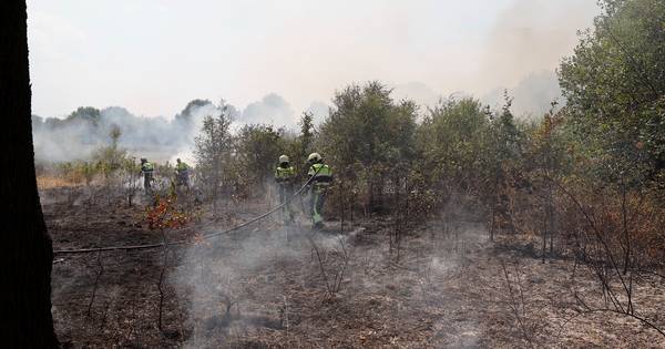 Deel van weiland brandt af van Sterrenbos in Beers
