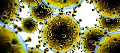 Geen nieuwe ziekenhuisopnamen voor coronavirus in Overbetuwe en Lingewaard