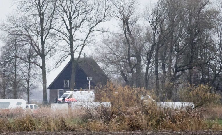Oudermoord: het 'ultieme delict' komt slechts zelden voor - Trouw