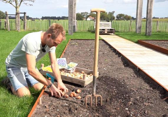 Dit is hét moment om bloembollen te planten. Zo doe je dat.