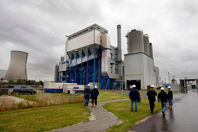 Een biomassacentrale in Moerdijk