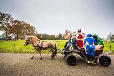 Dag Sinterklaasje, dahag! Politie snijdt koets Sint en haalt hem van de weg