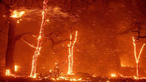 The Day California Burned