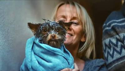 Loterijhondje Frekkel wint ‘Oscar voor reclame’