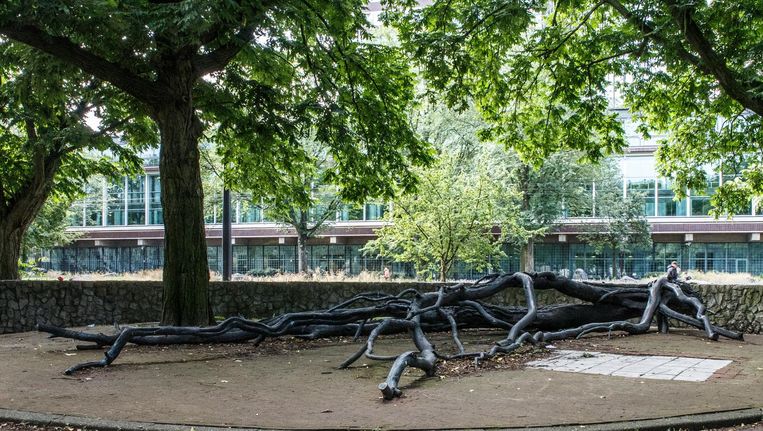 De herwaardering van verzetsheld Wally van Hall | Het Parool