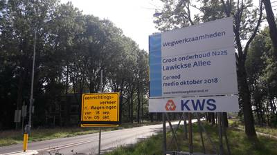 Ik moest plechtig beloven dat ik echt het pontje zou nemen