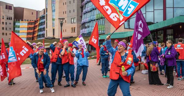 Meer geld voor jezelf, een beter milieu of dierenrechten: waar zou jij voor staken? - De Stentor