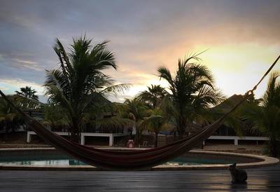 Voor 660 euro heeft dwergkonijn Stampertje toch nog een heerlijk leventje op Bonaire