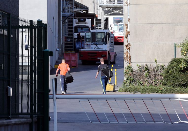 225 werknemers van Westvlees moeten verplicht thuis blijven, ruim 600 anderen kunnen doorwerken.