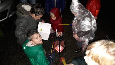 Dolen door het donkere bos tijdens de nacht van de nacht