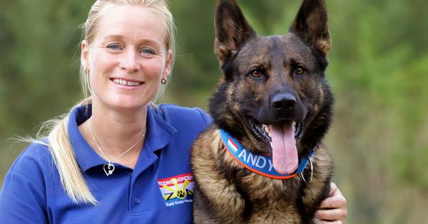 Andy, de hond die niemand wilde, gaat naar WK reddingshonden