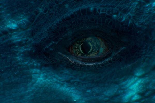 Attenborough and the Giant Sea Monster