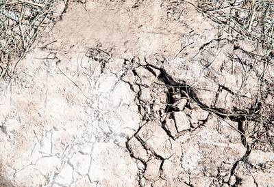 Talloze problemen door droogte in Gelderland: van verzakkende huizen tot minder libelles