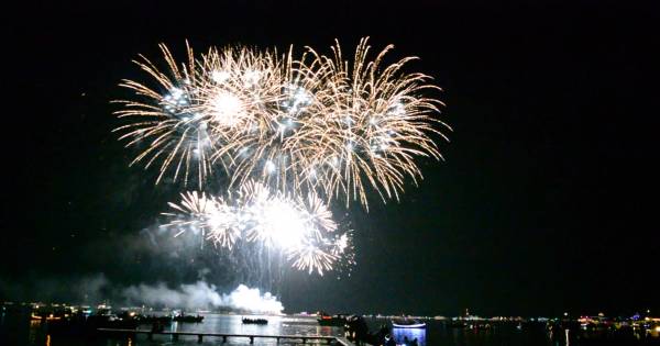 Einde Dreigt Voor Torenschuddersfeest Nieuwkoop Grote Zilverreiger Zit Vuurwerk Dwars Alphen Ad Nl
