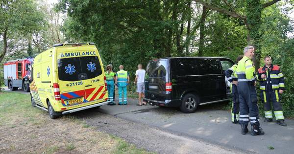 Automobilist vliegt uit de bocht en botst op boom in Herpen - BD.nl