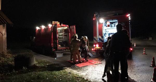 Koeien vallen in put in Tilligte | Dinkelland - Tubantia