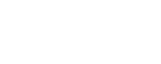 Vlaams