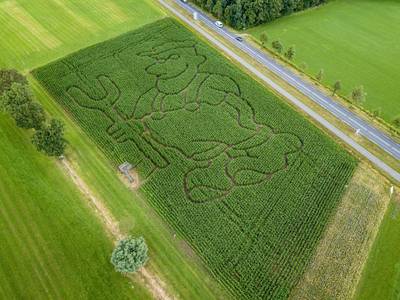 Een ‘reuzenboer’ als doolhof in Geesteren: ‘We zijn trots op ons boerenvak’