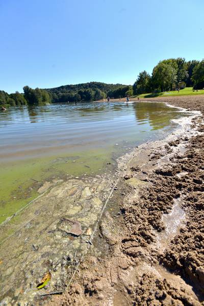 Waarschuwing voor blauwalg in zwemplas bij Scholtenhof in Etten