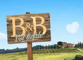 Wauw, deze luxe B&B’s uit ‘B&B vol liefde’ zijn wel héél bijzonder