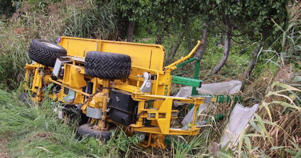 Vier gewonden bij ernstig ongeluk tijdens fruit plukken in Hoedekenskerke - BN DeStem