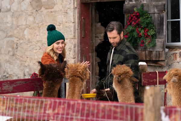 Une styliste à Noël chez les alpagas