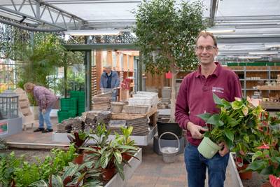 De laatste plantjes van Rozeboom in Bennekom