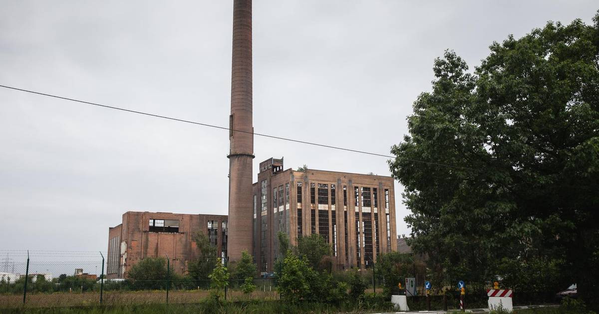 Natuurpark op oude site Electrabel | Evergem | hln.be