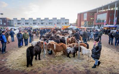 Eeuwenoude paardenmarkt in Goor stopt