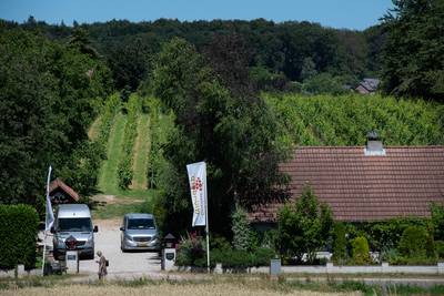 Voor de lekkerste wijn van Gelderland volg je gewoon de borden