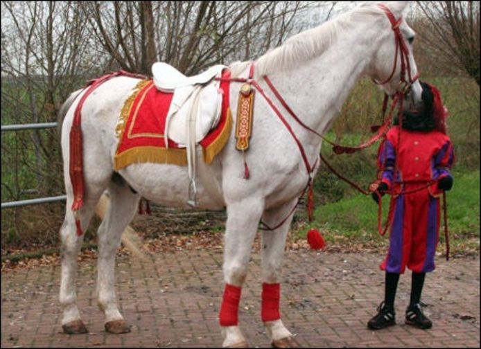 Alles over het paard van Sinterklaas
