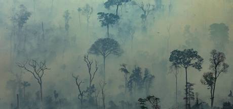 De Amazone huilt: nu al ruim 120.000 hectare ten prooi gevallen aan speculanten