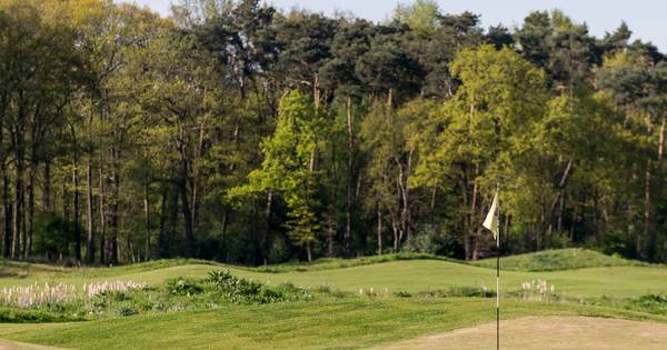 Oud-bestuurder golfbaan Zenderen moet fors dokken