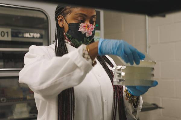 Vaccine: The Inside Story