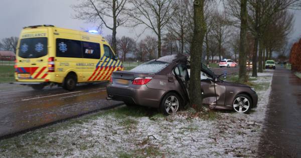 Man botst met auto tegen boom in Nijnsel, bestuurder naar ziekenhuis - Eindhovens Dagblad
