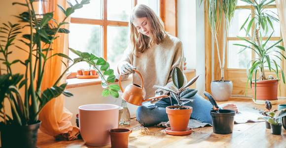 Waarom kamerplanten goed zijn voor je gezondheid en de 8 perfecte planten om in huis te halen 
