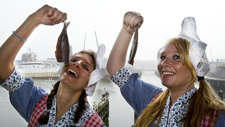 Hoe Zit Dat Toch Met Die Hollandse Nieuwe De Volkskrant